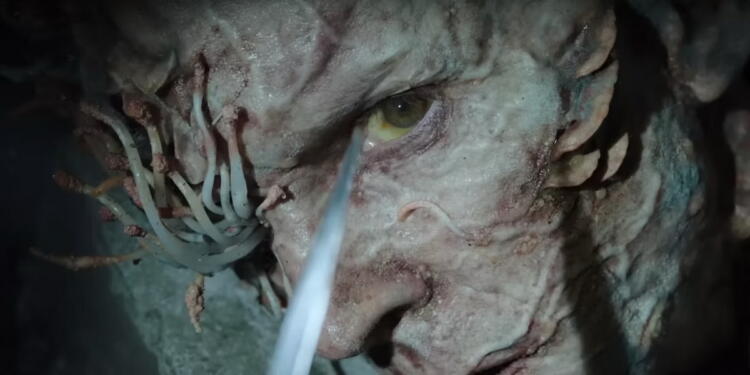 Cordyceps Infection in Real World