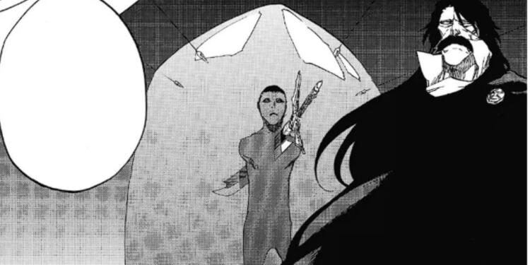 Soul King Bleach facts