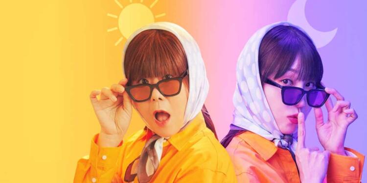 miss night and day facts