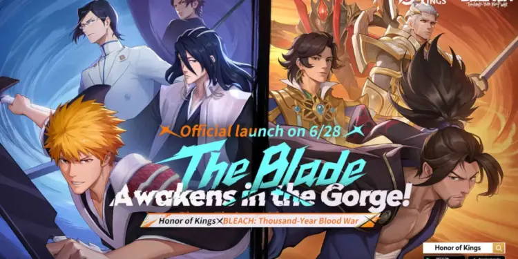 Honor of Kings x Bleach