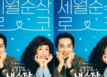 Image: Sinopsis Drama Korea My Troublesome Star